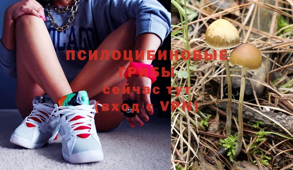 мдпв Кулебаки